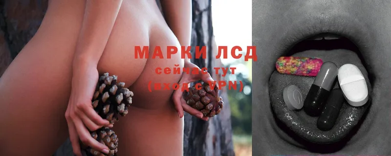 blacksprut маркетплейс  Анапа  ЛСД экстази кислота  где купить наркотик 